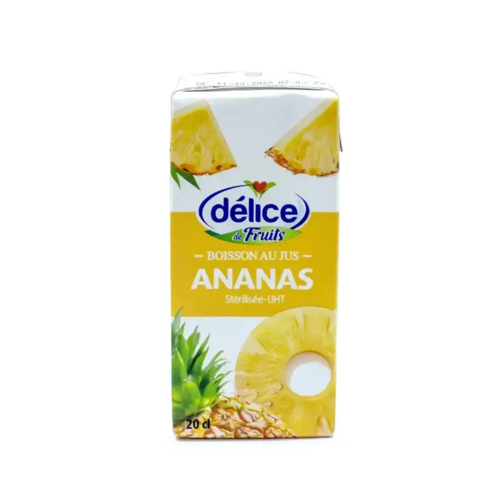 JUS ANANAS MINI BRIQUE 20CL X6 DELICE 