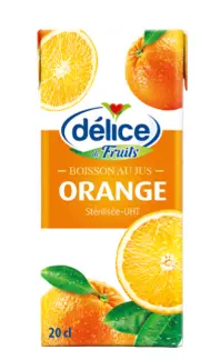 JUS ORANGE MINI BRIQUE 20CL X6 DELICE 