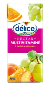 JUS MULTIVITAMINE MINI BRIQUE 20CL X6 DELICE 